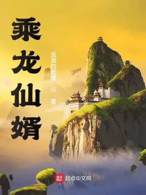 乘龙仙婿小说免费阅读完整版